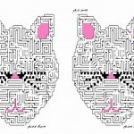 cats_maze2