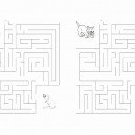 cats_maze4