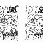 cats_maze7