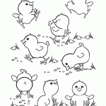 דף צביעה אפרוחים שמחים