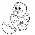 אפרוח קטן בוקע מן הביצה