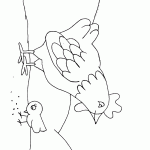 תרנגולת שומרת על אפרוח הקטן