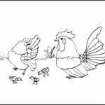 דף צביעה משפחת התרנגולים