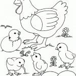 אפרוחים שזה עתה בקעו מן הביצים