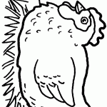 תרנגולת דוגרת על הביצים 3