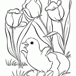 אפרוח קטן בוקע מן הביצה