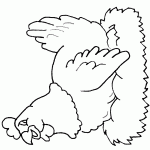 תרנגולת דוגרת על הביצים 2