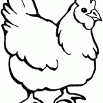 דף צביעה תרנגול 4