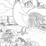 דף צביעה תרנגול 2