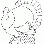 דף צביעה תרנגול הודו 2