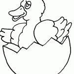 דף צביעה אפרוח בא לאוויר העולם