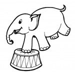 דף צביעה פיל מופיע בקרקס