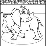 דף צביעה כלב רוכב על פיל בקרקס