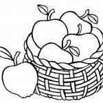 דף צביעה סלסילת תפוחי עץ