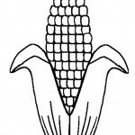 דף צביעה קלח תירס