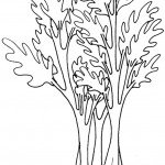 דף צביעה סלרי עלים