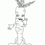 דף צביעה גזר