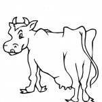 דף צביעה פרה 8