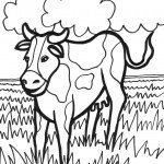 דף צביעה פרה 4