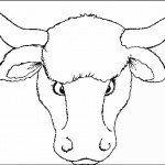 דף צביעה ראש שור 1