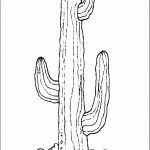 דף צביעה שיח צבר