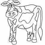 דף צביעה פרה 12