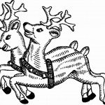 דף צביעה איילה 4