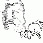 דף צביעה איילה 10