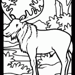 דף צביעה איילה 8