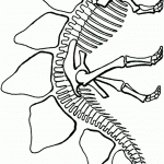 דף צביעה שלד דינוזאור