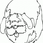 דף צביעה כלב אחרי מאמץ