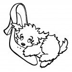 דף צביעה גור לועס נעל