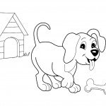 דף צביעה גור חומד בעצם