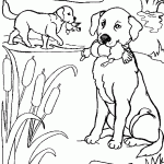 דף צביעה כלבים שתפסו ברווזים