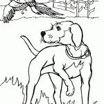 דף צביעה כלב צופה בטווס