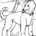 דף צביעה פודל