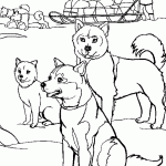 דף צביעה כלבי מזחלות