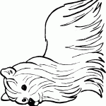 דף צביעה כלב יורקשייר טרייר