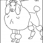 דף צביעה כלב פודל מטופח