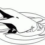 דף צביעה דולפין 9