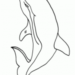 דף צביעה דולפין 8