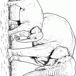 דף צביעה פיל 8