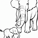 דף צביעה פילה ובנה הפילון