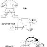 דף צביעה מכבי אש 6