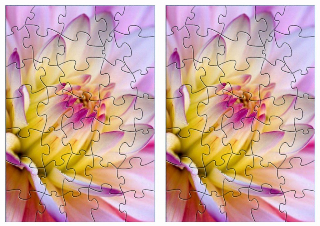 flower puzzle3