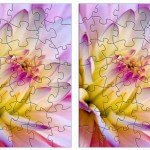 flower puzzle3