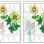 flower puzzle5