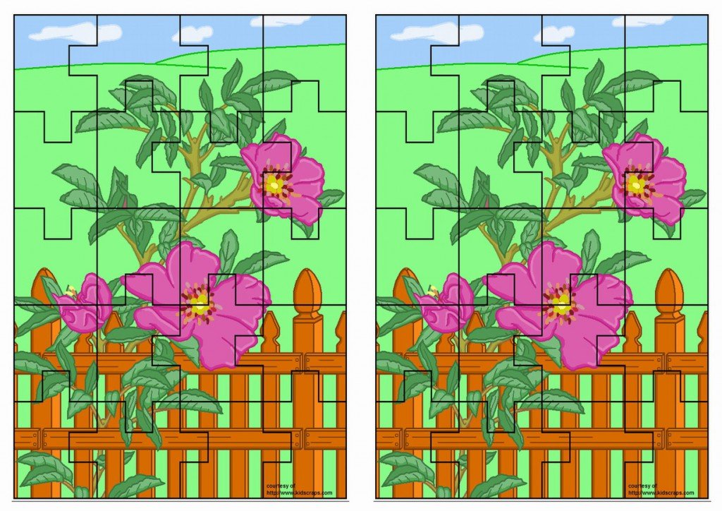 flower puzzle9