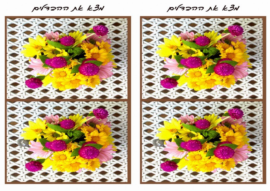 flower_diff2