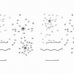 flower_dots3 flower_dots3